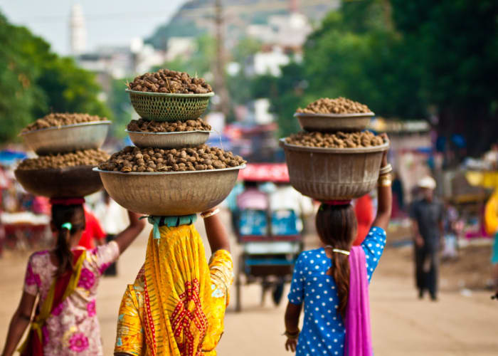 Dernier jour au Rajasthan