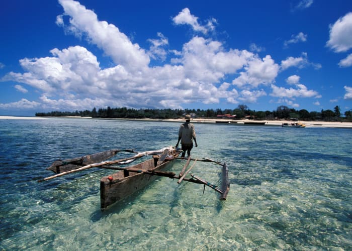 Envolez vous vers Zanzibar