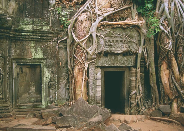 Siem Reap - Temples Ta Prohm et Banteay Srei
