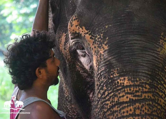 Udawalawe a Buduruwagala et Ella (2h)