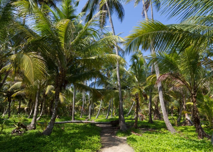 Départ pour le parc Tayrona