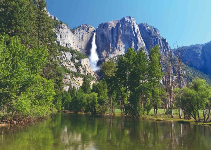 Yosemite et les grands séquoias