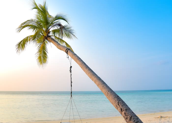 Habarana - Trincomalee