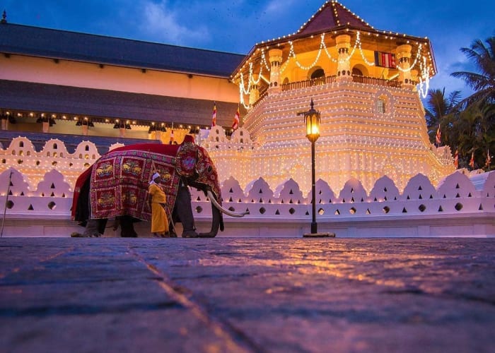 Dambulla - Kandy - 84 km