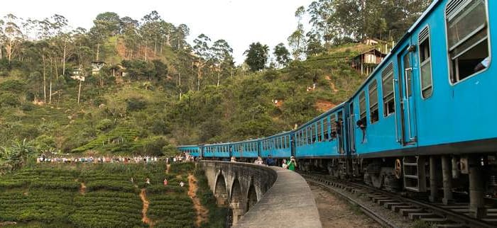 Train jusqu à Nuwara Eliya et danses kandyennes