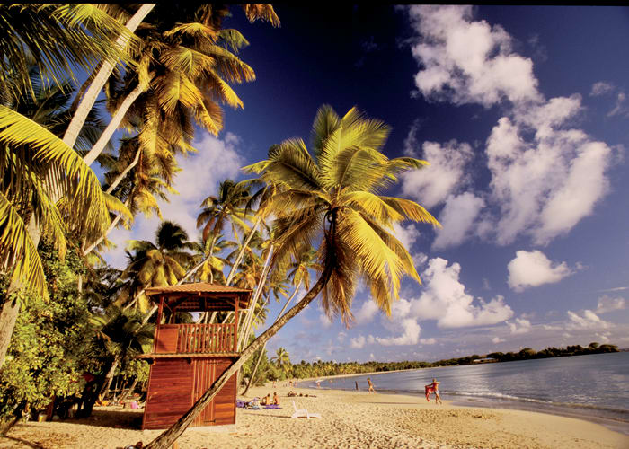 Détente dans votre chambre d hotes de charme sur une ile tropicale