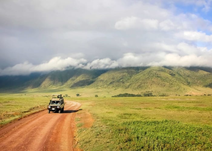 Game Drive dans le cratère de Ngorongoro