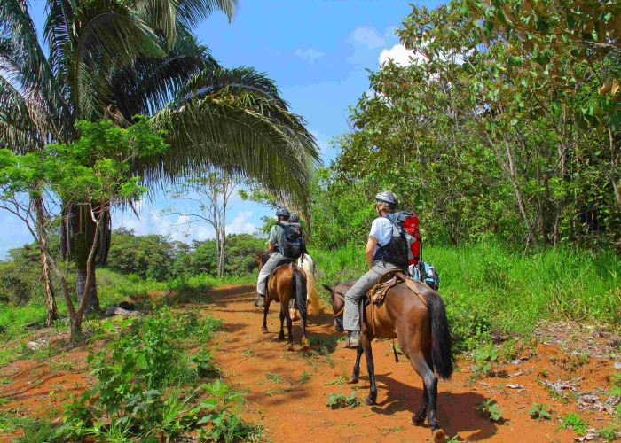 Playa Hermosa - Ojochal (2h30)