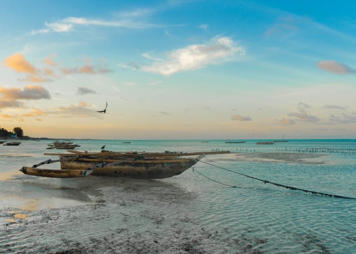 Vacances sur la plage de Zanzibar
