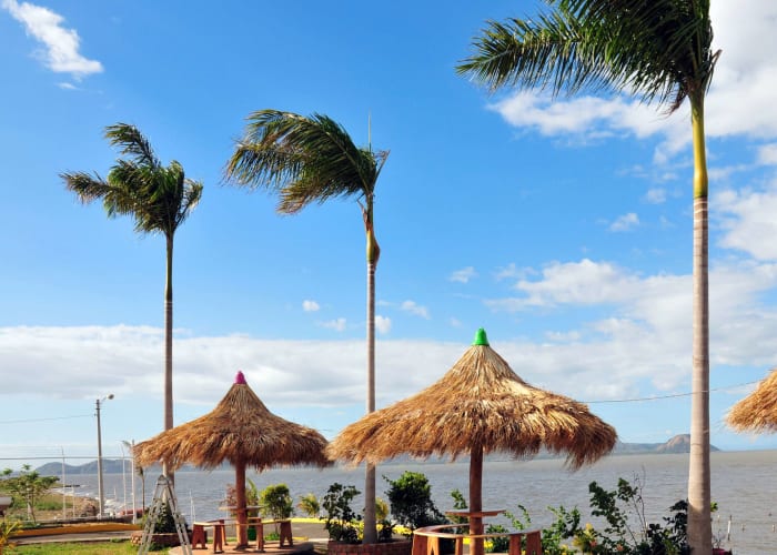 Plage, soleil et cocotiers