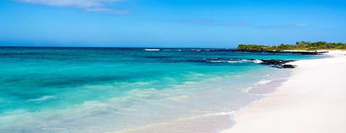 Vers la fin du séjour... aux Galapagos
