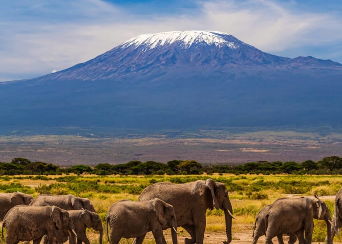 Arrivée à Arusha