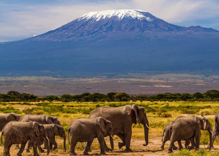 Parc National De Tarangire