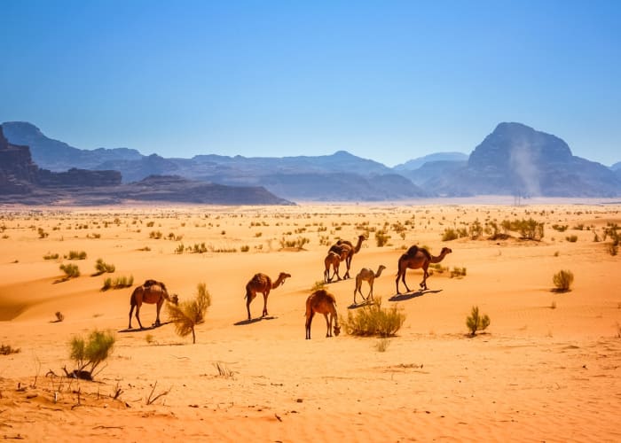 Le désert du Wadi Rum