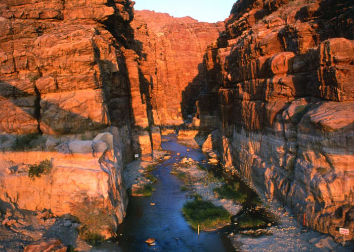 Le désert du Wadi Rum, la mer Morte, Amman