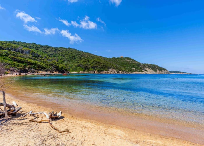 Vendredi 1er janvier: Île de Port Cros