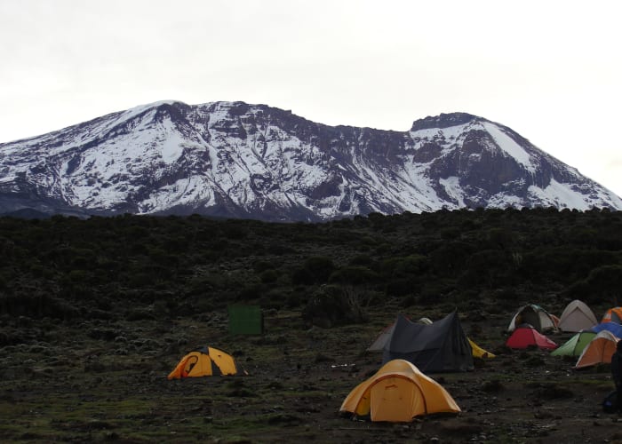 Arusha – Machame Gate (1,790m) – Machame Camp (3,010m)