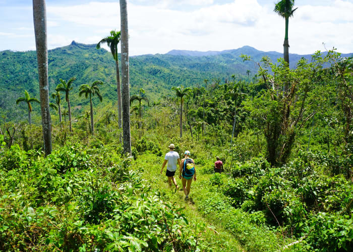 La montagne El Yunque