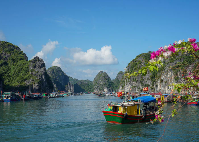 Jour 13 : Baie de Lan Ha, Ninh Binh