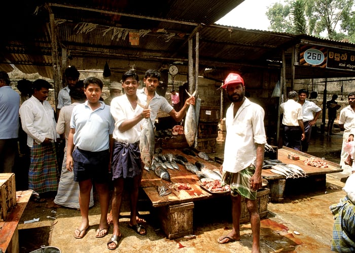 Arrivée au Sri Lanka