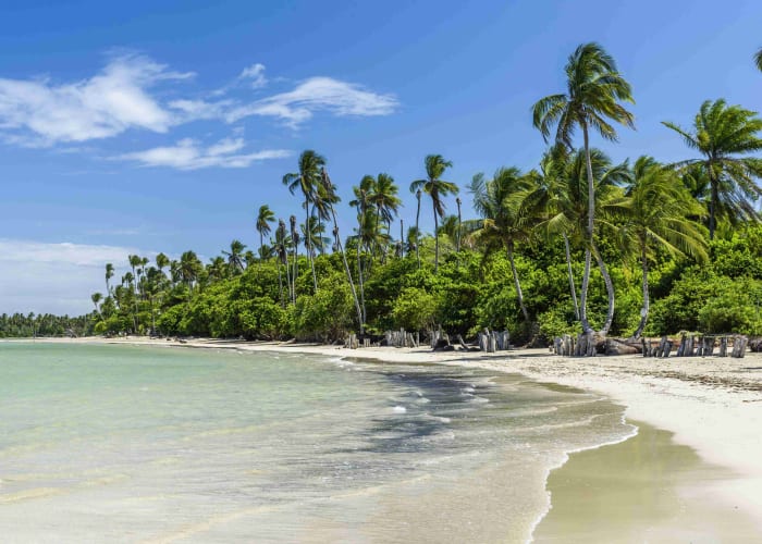 Praia do Forte