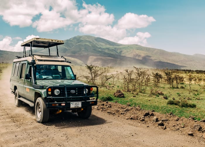 Serengeti National Park Gam Drive