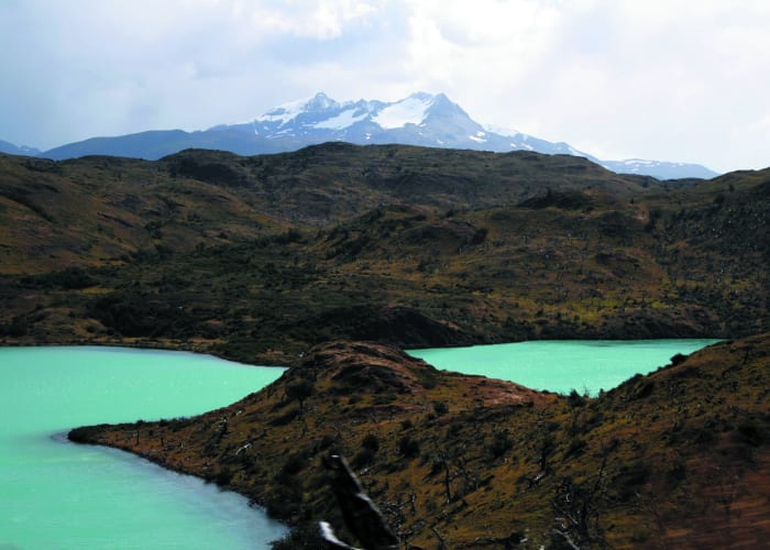 De Calafate au parc national Torres del Paine