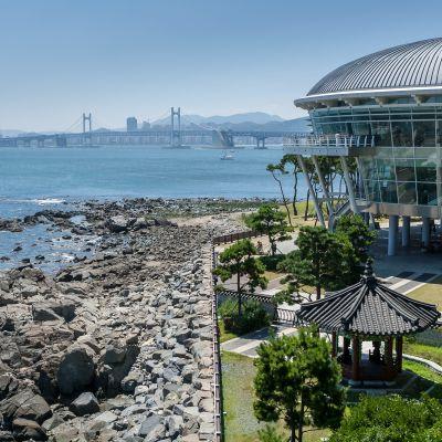 Sur les côtes de Busan