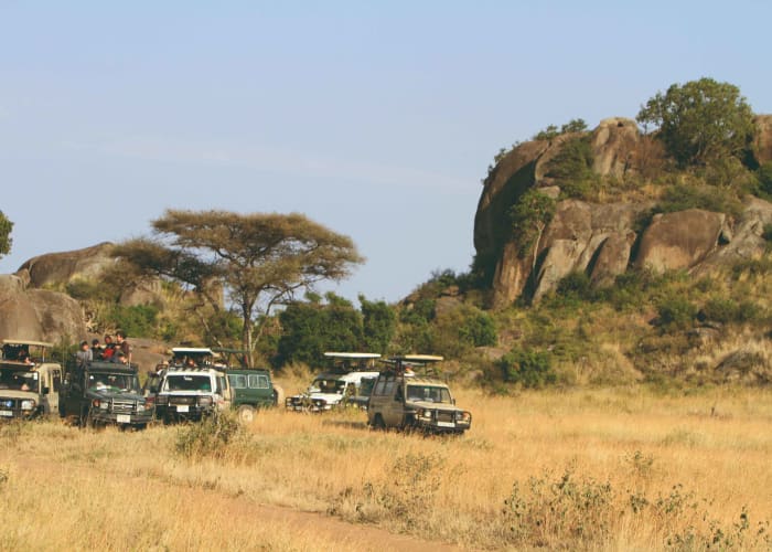 Arusha - Parc national du Tarangiré