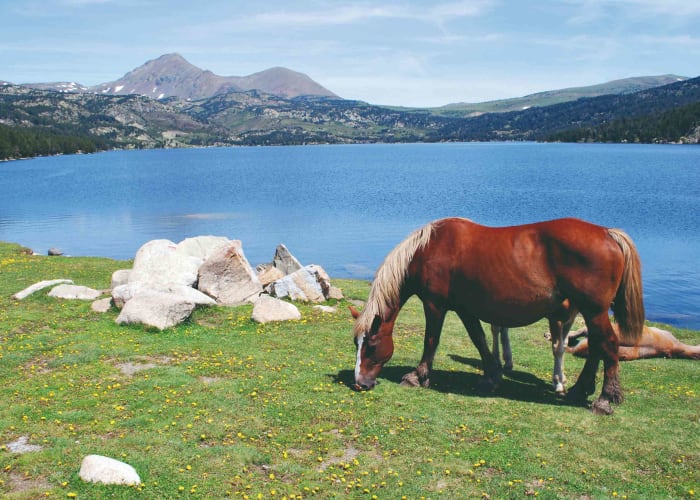 Lac des Bouillouses - Mont Llaret (2376 m)
