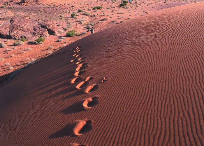 WADI RUM (BURDAH - WADI UM ISHREEN - ANFASHIEH - ALDISI)