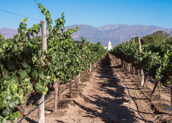 Cafayate - Molinos - Cachi