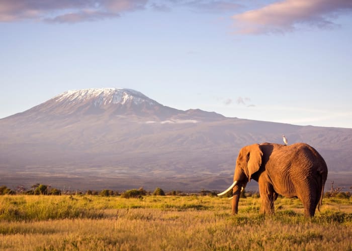 Parc national du Serengeti