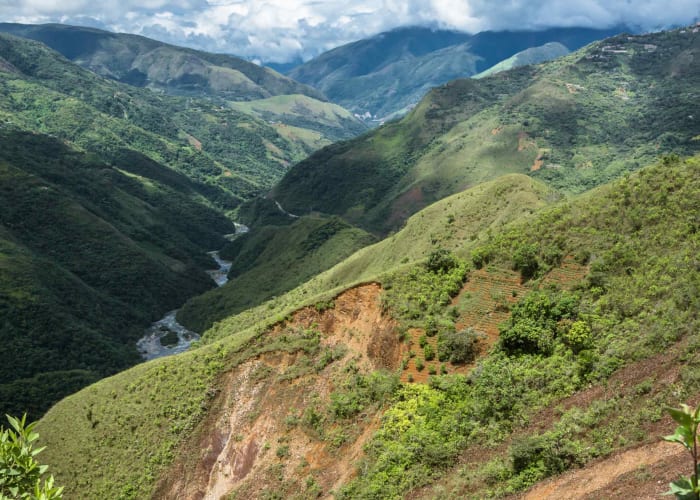 Guanay - Riviere Kaka