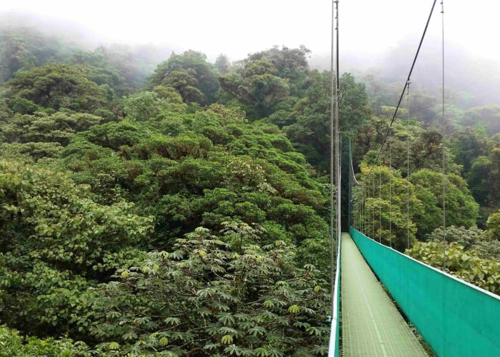 Volcan Arenal - Réserve Monteverde