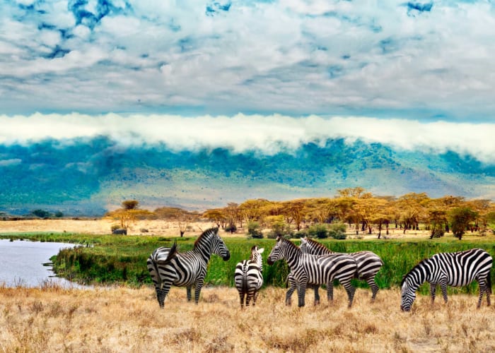 Cratère du Ngorongoro