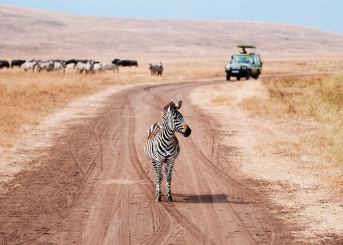 Cratère du Ngorongoro