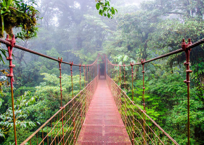 Monteverde