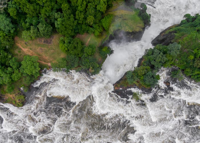 Game Drive, croisière en bateau sur le Nil