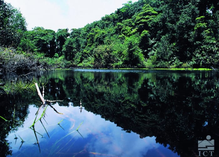 La petite Amazonie du Costa Rica