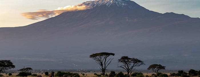 Visite du Parc National d'Amboseli