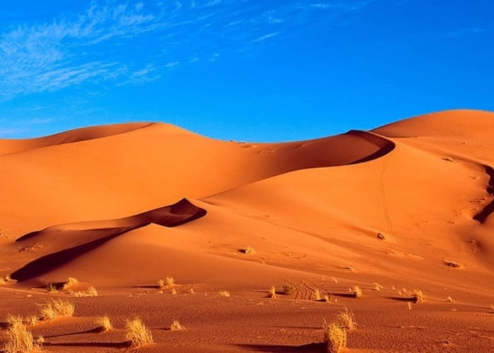 Vallée des roses - Gorges du Toudra jusqu'au désert magique de l'Erg Chebbi