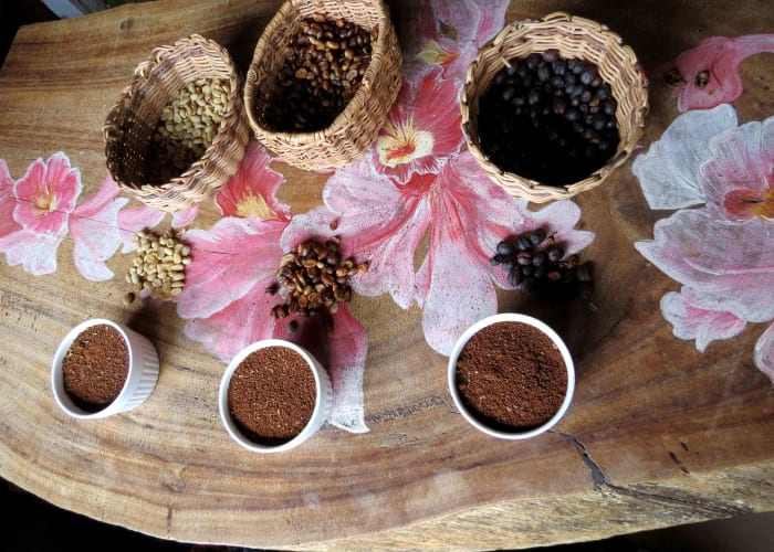 Visite d une ferme traditionnelle de Cacao et descente en kayak du Rio Don Diego
