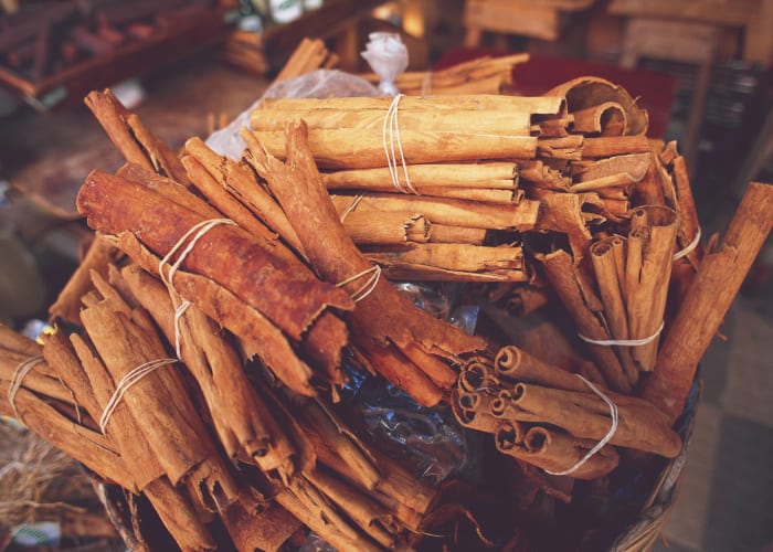 Visite d une plantation de cannelle