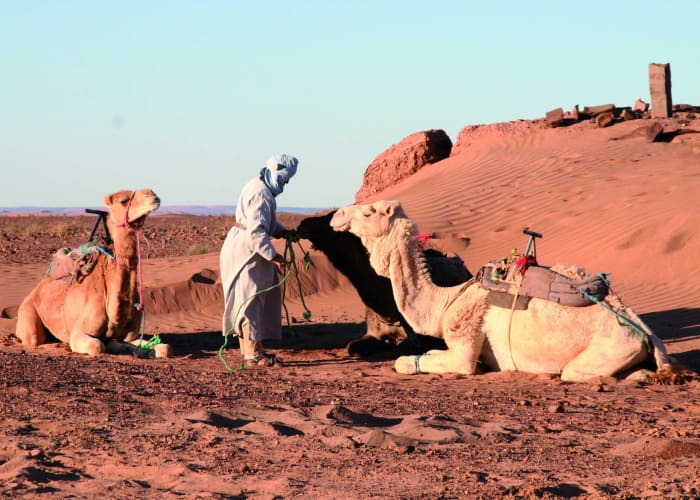 Ouarzazate - Mhamid - Ras-Nkhal