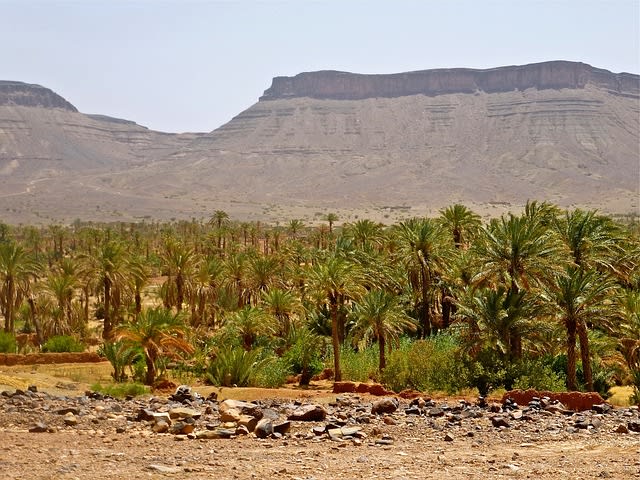 AGADIR, TAROUDANT, MARRAKECH