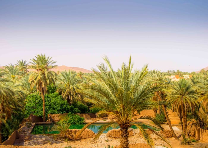Les Terrasses de l'Atlas, Haut Atlas occidental