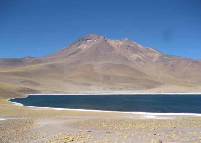 SALAR D’ATACAMA, LACS  D’ALTITUDE  MISCANTI ET MEÑIQUES