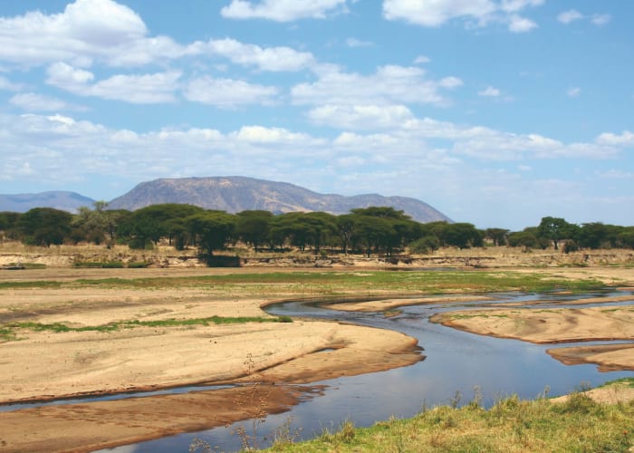 Parc national de Ruaha