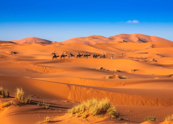 Fint - Agdez - Nkob - la Montagne de Saghro - Merzouga